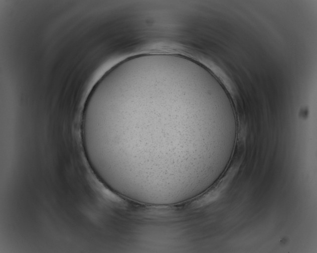 X0000101191486200807181459