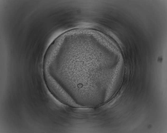 X0000101191487200807181459