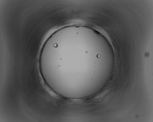 X0000101191488200807181459