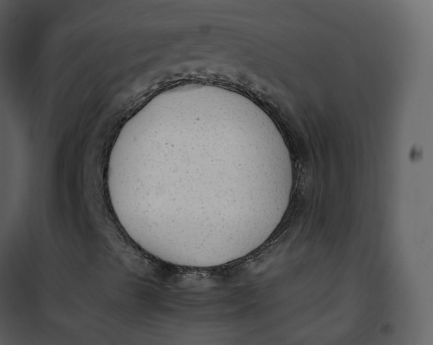 X0000101191489200807181458
