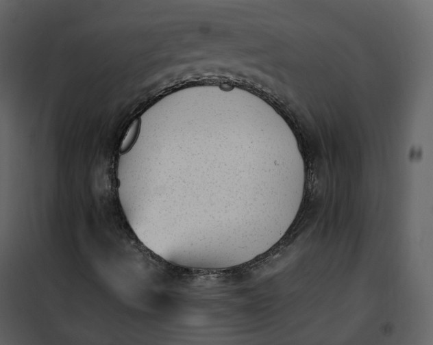 X0000101191490200807181458