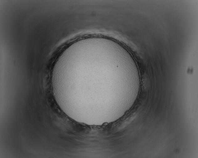 X0000101191494200807181458