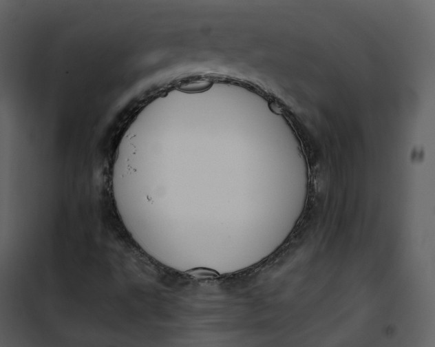 X0000101191495200807181458