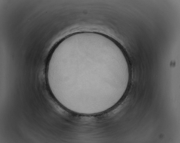 X0000101191498200807181459