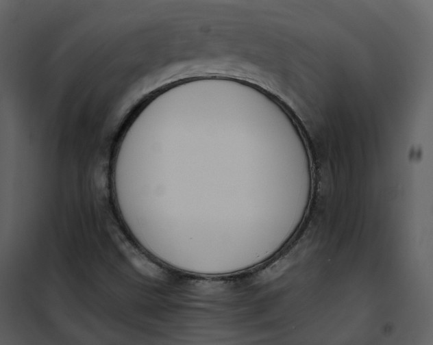 X0000101191499200807181459