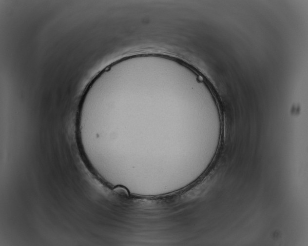X0000101191500200807181459