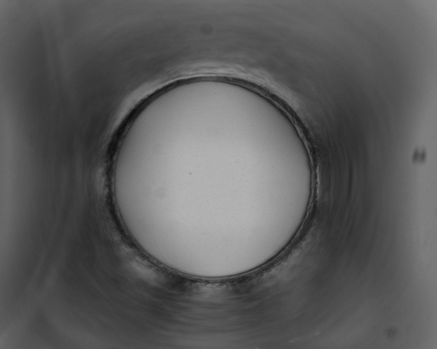 X0000101191501200807181459