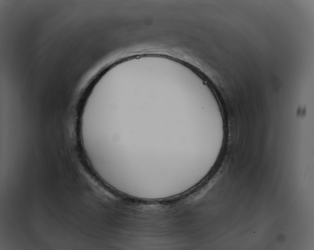 X0000101191502200807181459