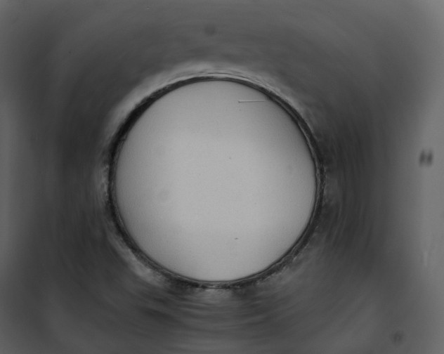 X0000101191503200807181459