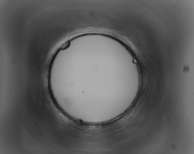 X0000101191504200807181459