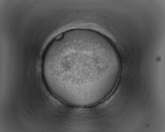 X0000101191506200807181459