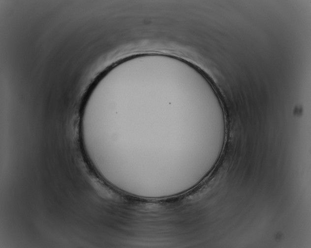 X0000101191507200807181459