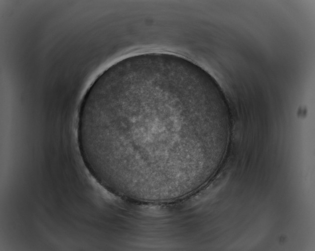 X0000101191508200807181459