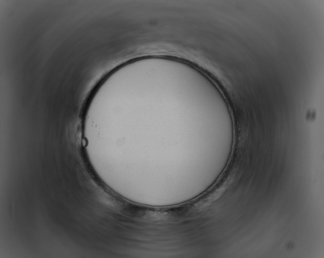 X0000101191509200807181459