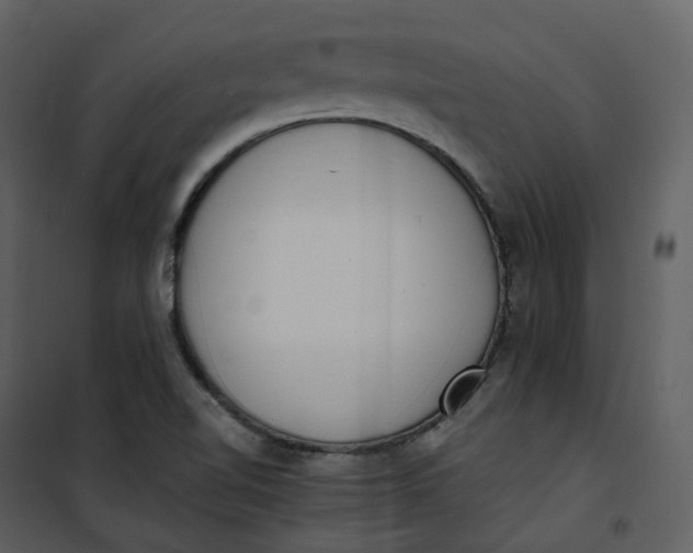 X0000101191510200807181459
