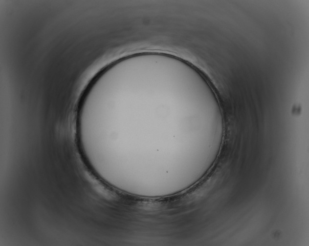 X0000101191511200807181459