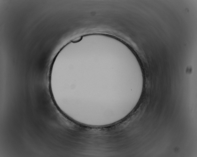 X0000101191512200807181459