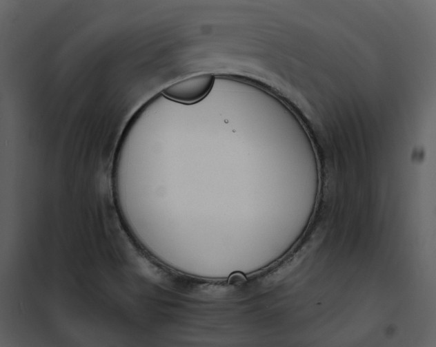 X0000101191513200807181459