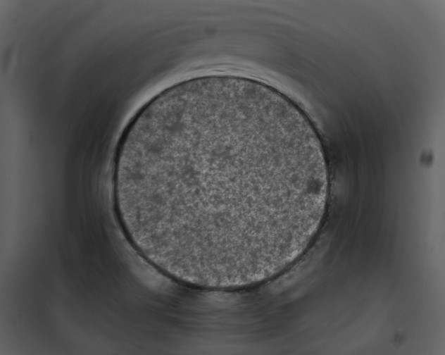 X0000101191514200807181459
