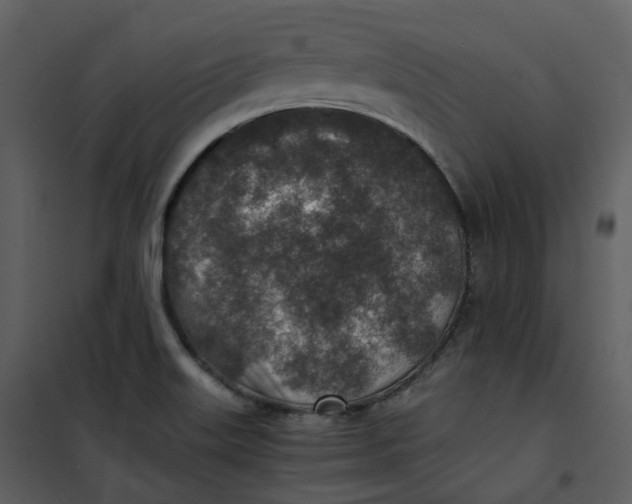 X0000101191515200807181459