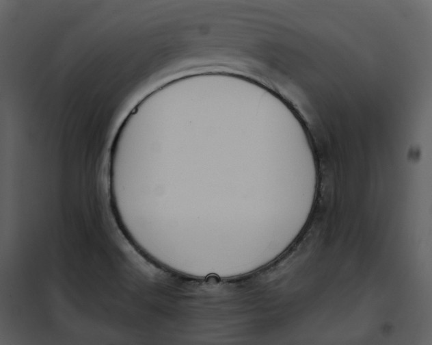 X0000101191516200807181459