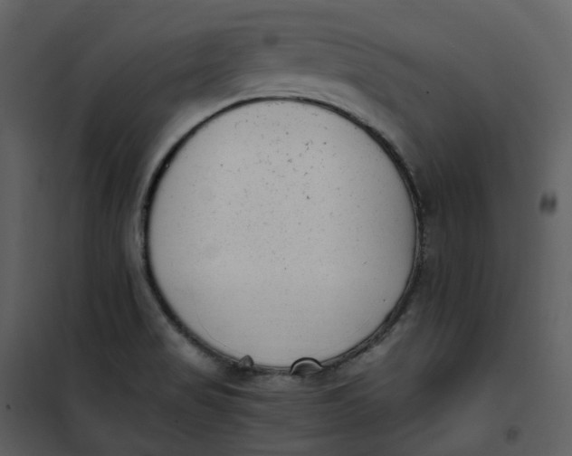 X0000101191517200807181459