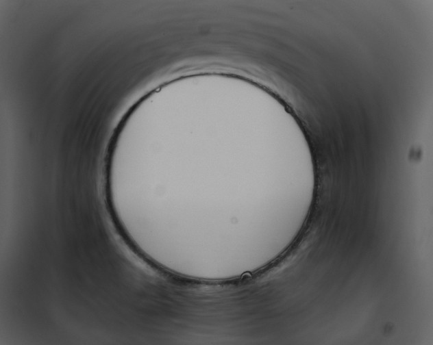 X0000101191518200807181459