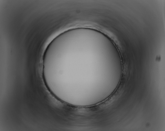 X0000101191520200807181459