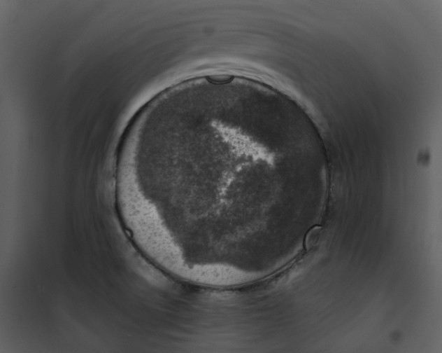 X0000101191522200807181459