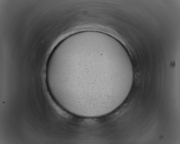 X0000101191523200807181459