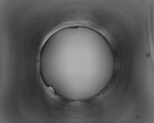 X0000101191524200807181459
