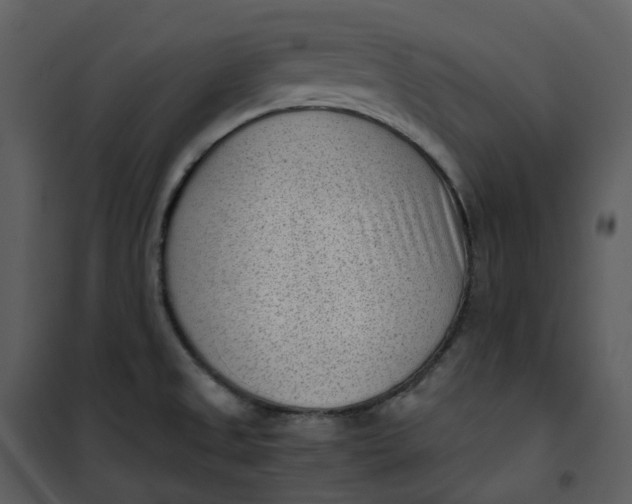 X0000101191525200807181459