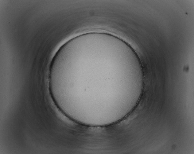 X0000101191526200807181459