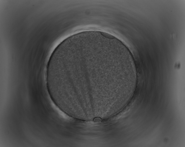 X0000101191527200807181459