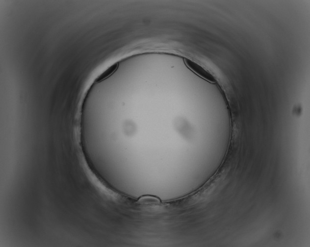X0000101191528200807181459