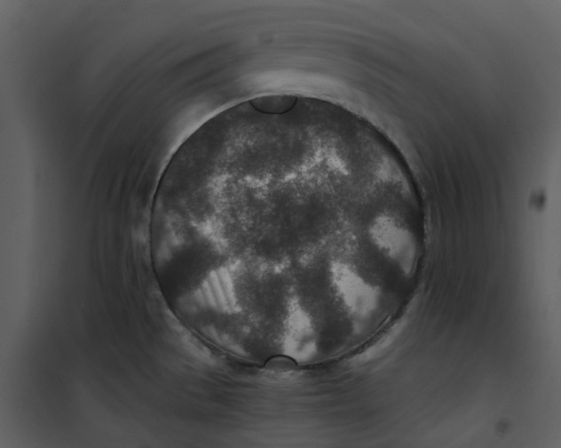 X0000101191529200807181459