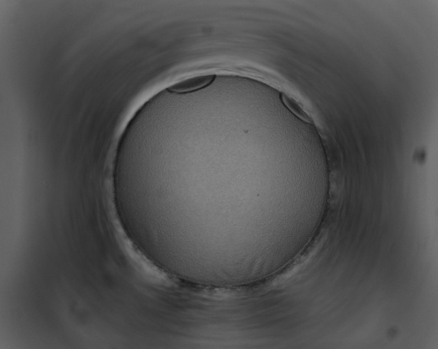 X0000101191530200807181459
