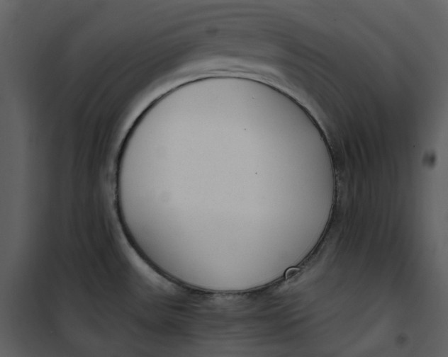 X0000101191531200807181459
