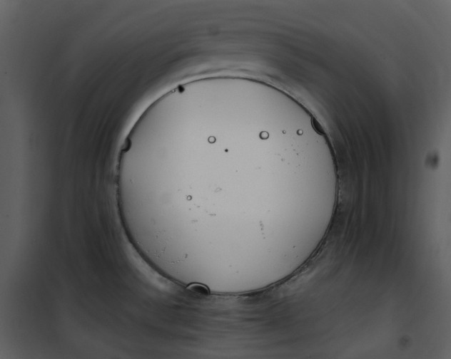 X0000101191532200807181459