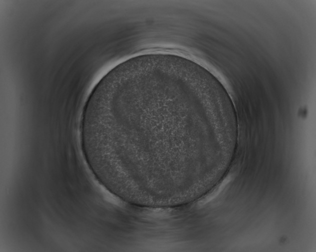 X0000101191533200807181459