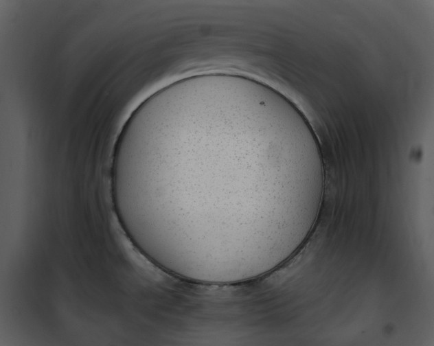 X0000101191534200807181459