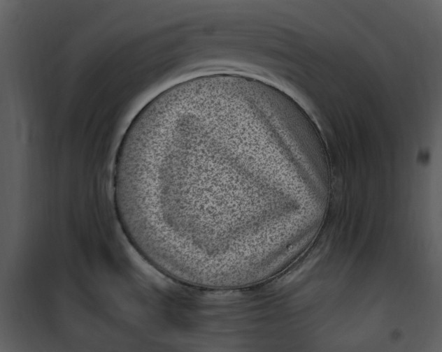 X0000101191535200807181459