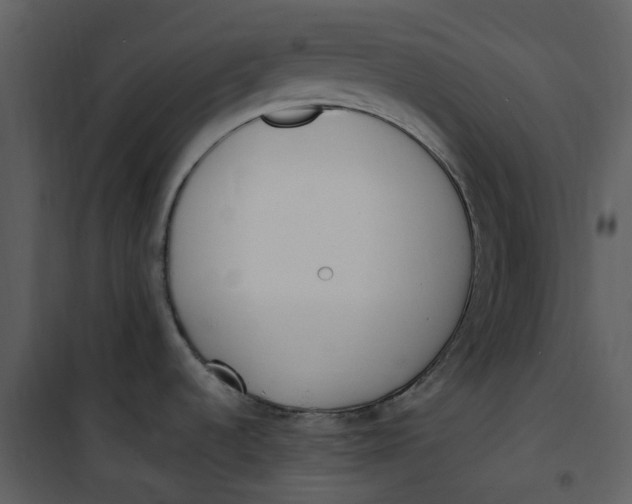 X0000101191536200807181459