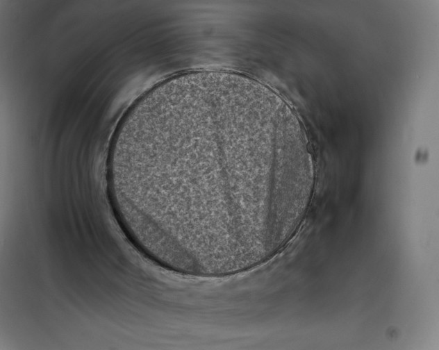 X0000101190002200807251013