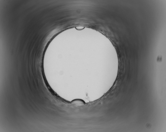 X0000101190003200807251013