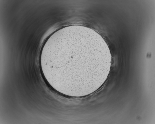 X0000101190004200807251013