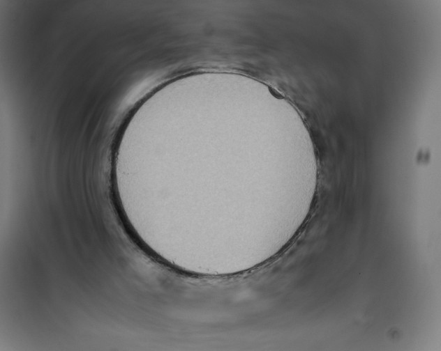 X0000101190005200807251013