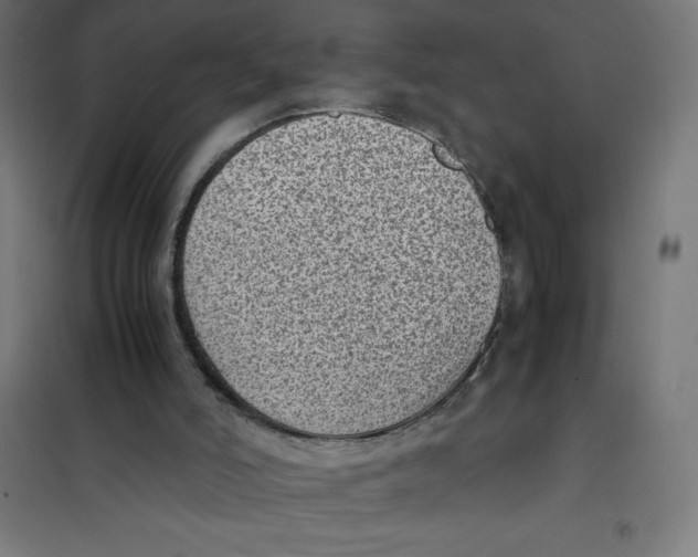 X0000101190006200807251013