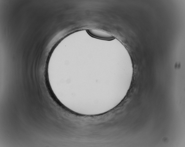 X0000101190007200807251013