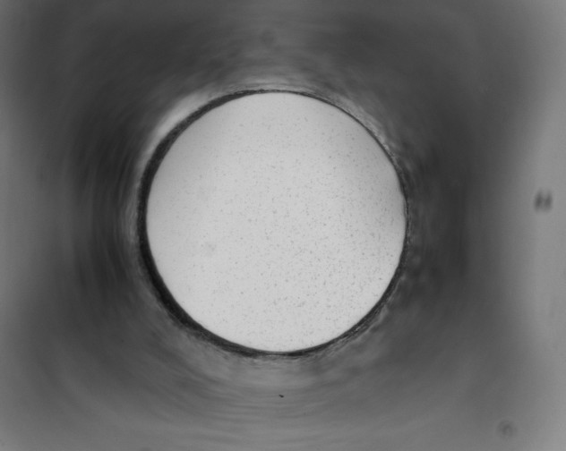 X0000101190008200807251013